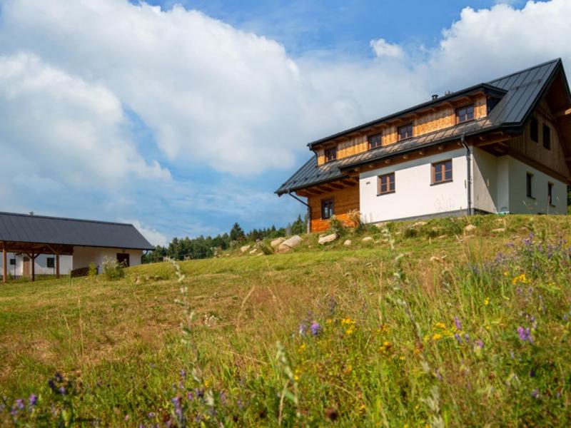 Poloroubenka Srni 9 New